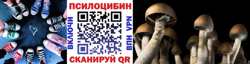 Купить  Боровичи  Галлюциногенные грибы Magic Shrooms 
